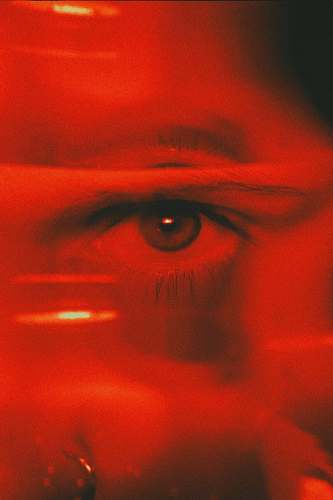 red red and black car tail light eye
